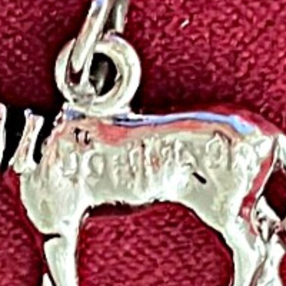 1960 Kennedy & Johnson Engraved Bobble Head Donkey Charm - Picture 4 of 4